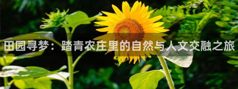 PG电子视频在哪看