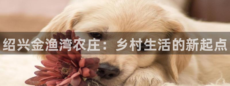 pg电子游戏非凡