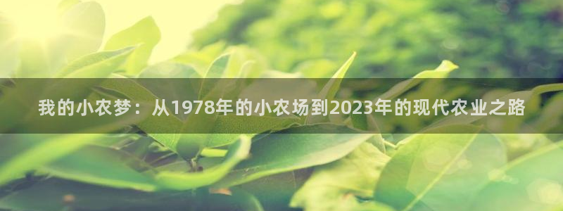 电子pg满屏胡