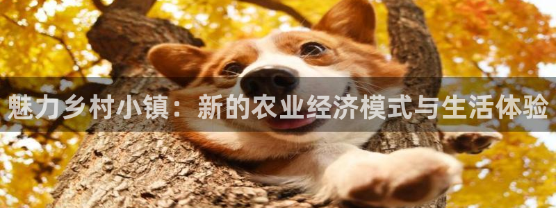 pg电子秘籍
