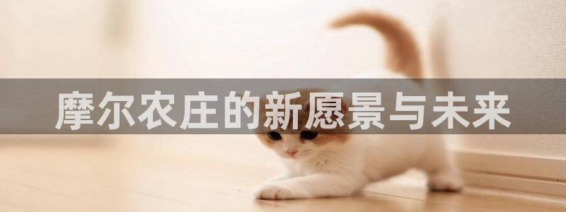 pg电子下载窗口