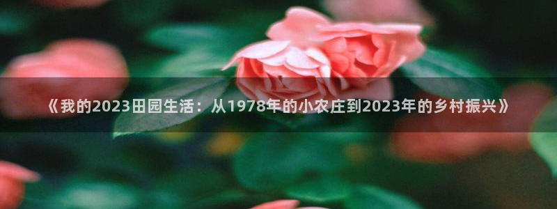 pg电子攻略
