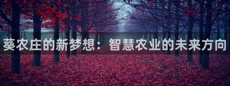 pg电子官网怎么试玩