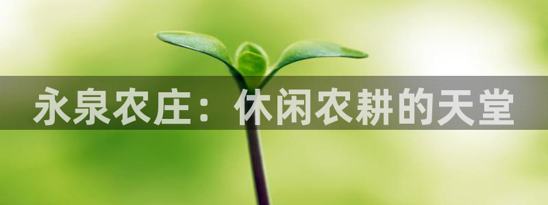 pg电子嘉年华暴分视频