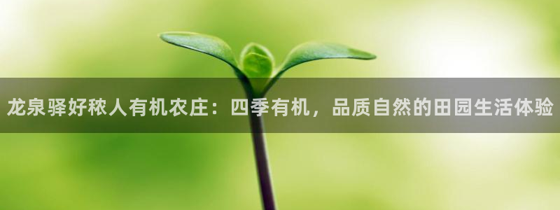 pg电子试玩金
