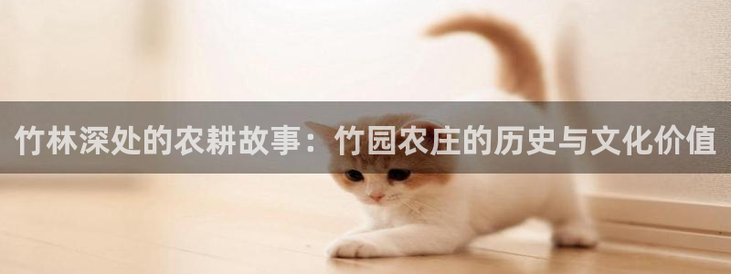 高爆率pg电子网址
