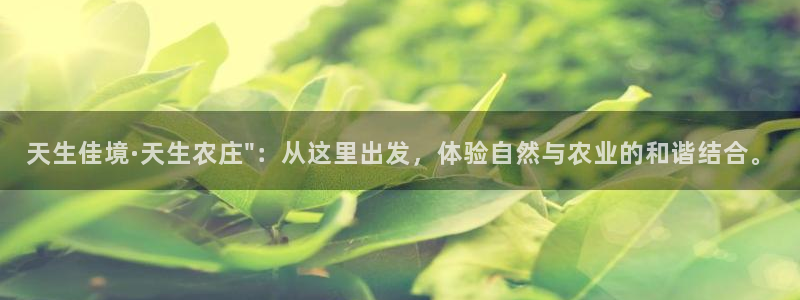 pg电子试玩平台