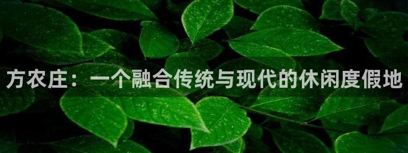 可以玩pg的电子软件