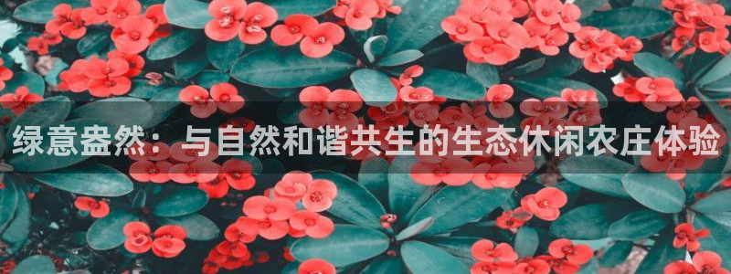 pg电子怎么能赢