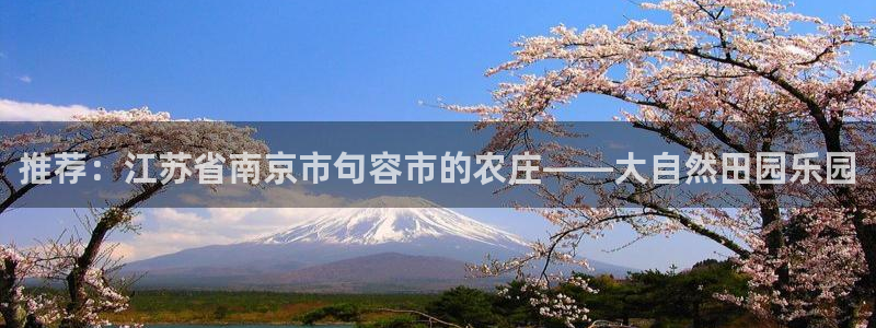 pg电子算赌博吗