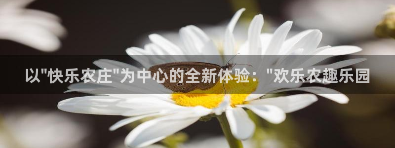 pg电子游戏哪个平台好