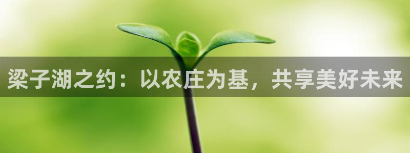 送彩金pg电子