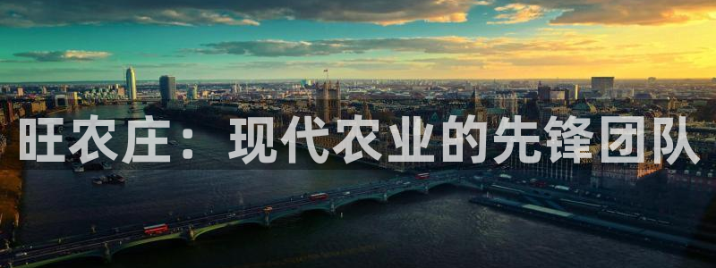 十年安全老品牌pg电子