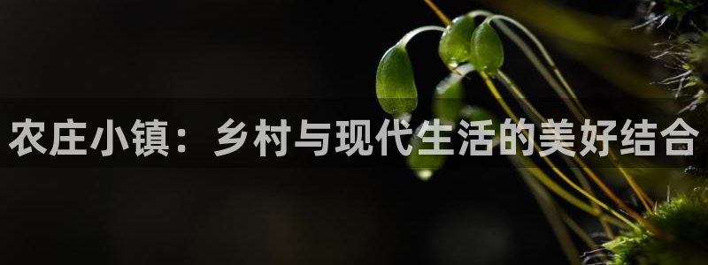 pg电子吧
