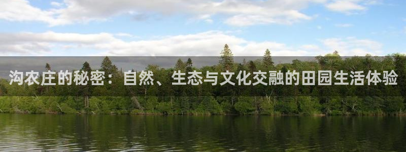 pg电子模拟器免费版
