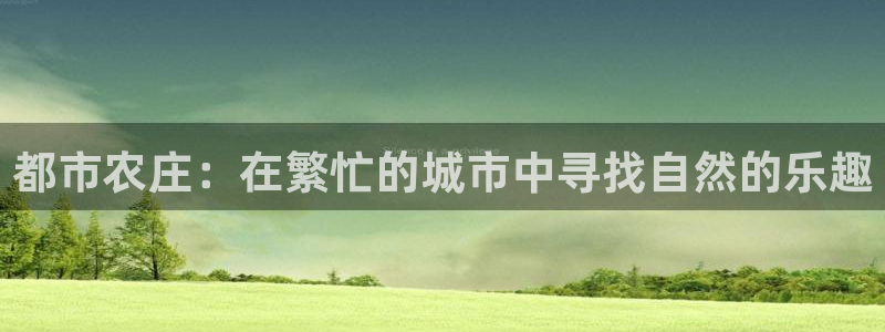 pg电子麻将胡啦