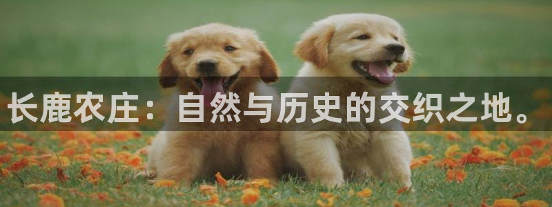 pg电子免费试玩网站