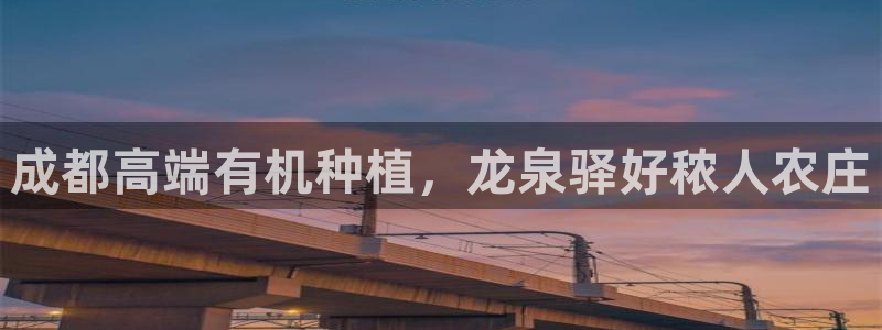 pg电子阿拉丁神灯攻略