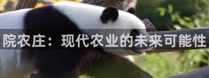 pg电子竞技游戏平台