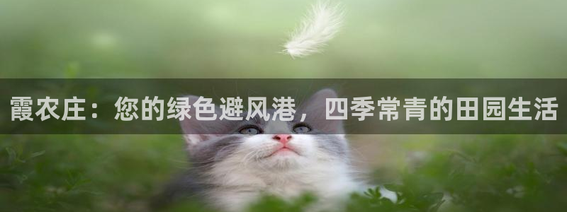 pg电子官方网站