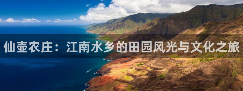 pg电子是真恶心