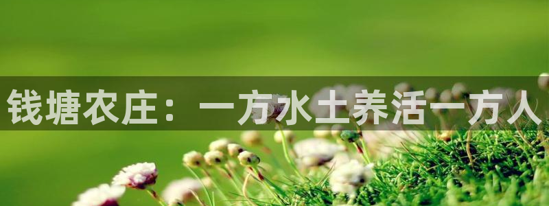 pg电子出分时间