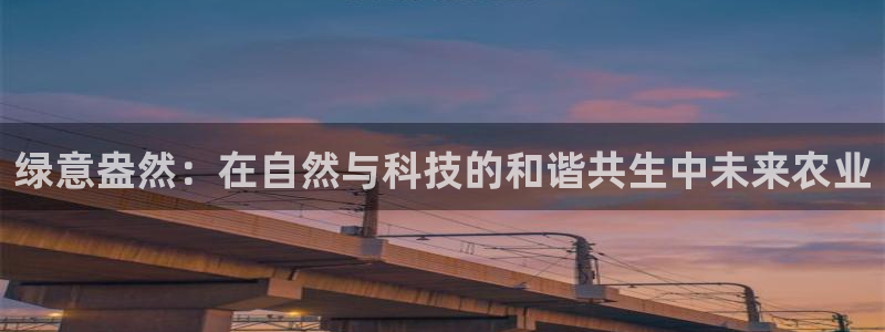 pg电子注单未返回
