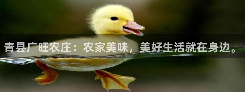 pg电子俱乐部是什么