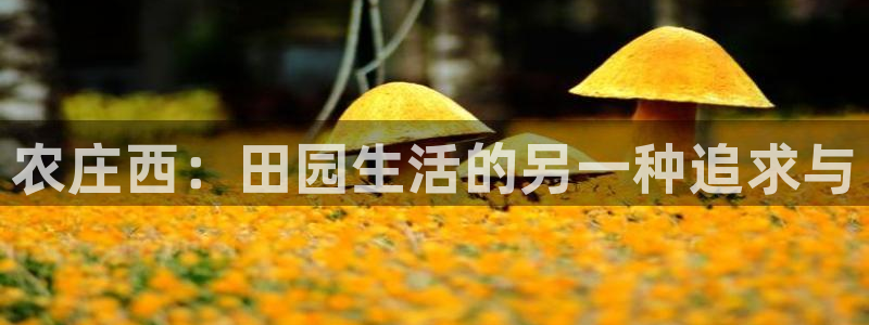pg电子宝石征途