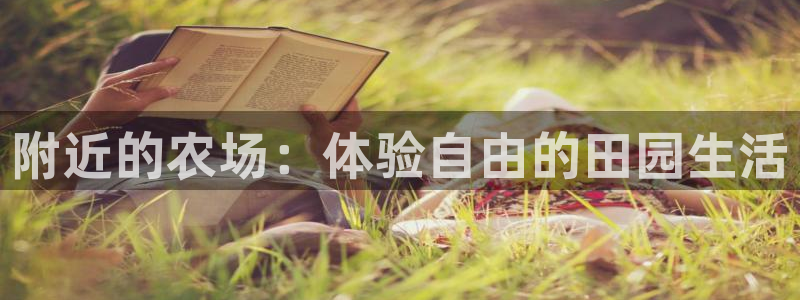 网站电子游戏PG怎么打