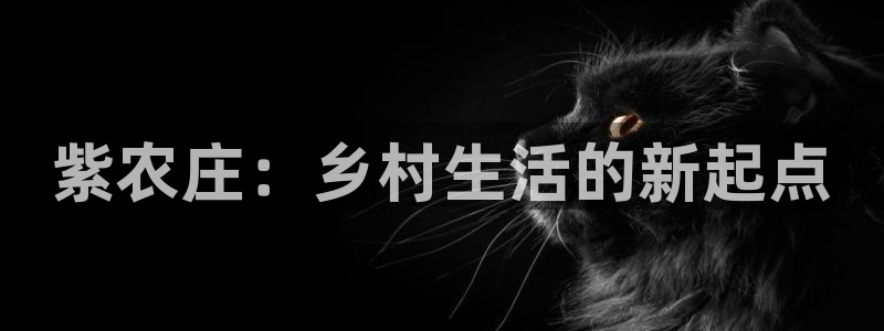 pg电子超市大比拼爆分
