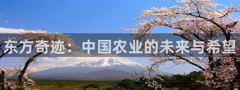 pg电子app全能版