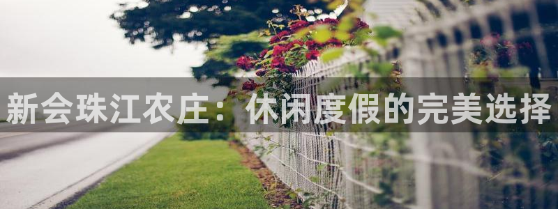 pg电子官网
