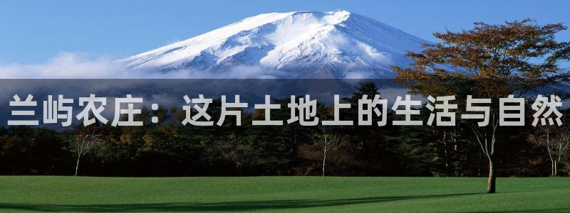 PG电子麻将胡了不爆分