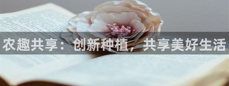 pg电子开挂神器