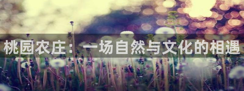 注册试玩pg电子