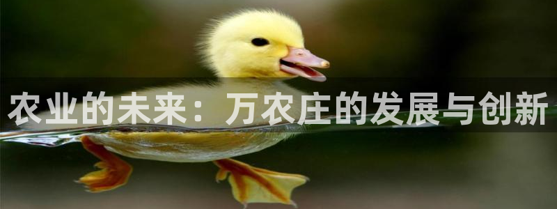 pg电子竞技游戏平台