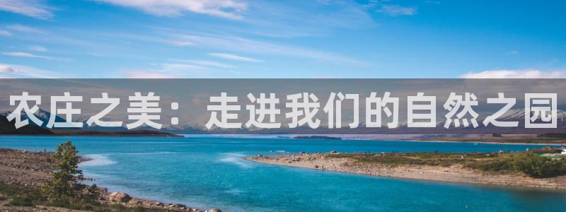 pg电子游戏官网源码