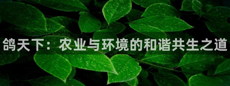 电子游戏PG压大