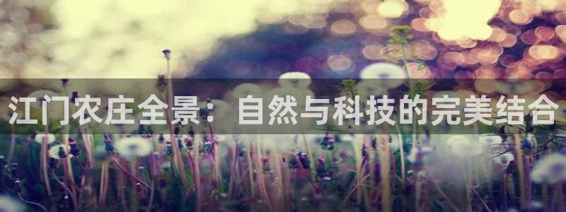 pg电子哪个平台靠谱