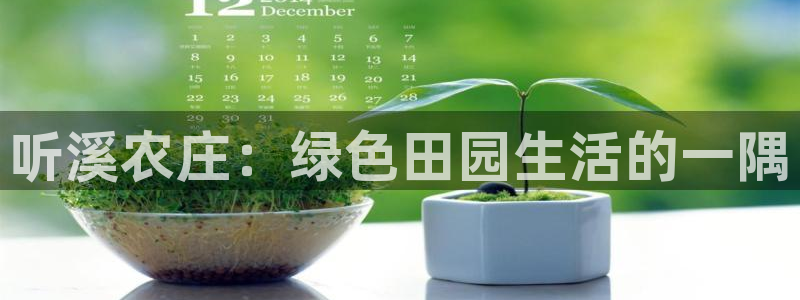 pg电子双喜临门十万倍长什么样