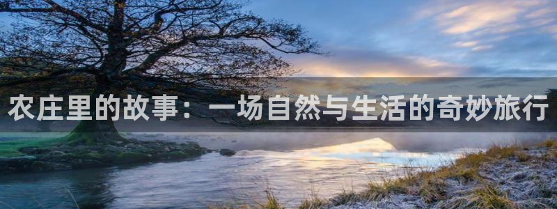 pg电子各大网站