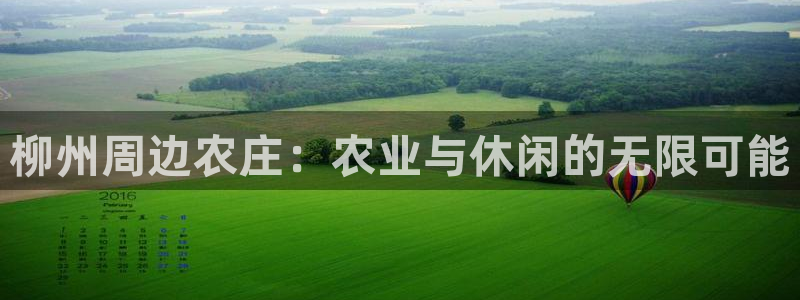 pg电子游戏模拟器