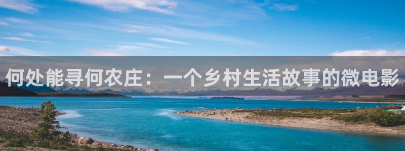 PG电子平台网址是多少