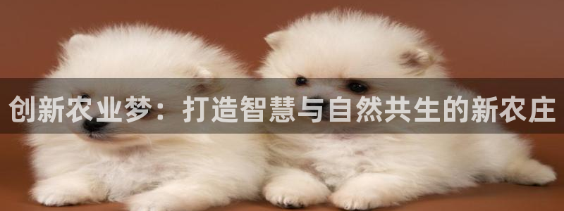 pg电子游戏在线试玩版