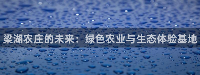 pg电子双喜临门维护