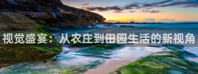 PG电子到底公不公正