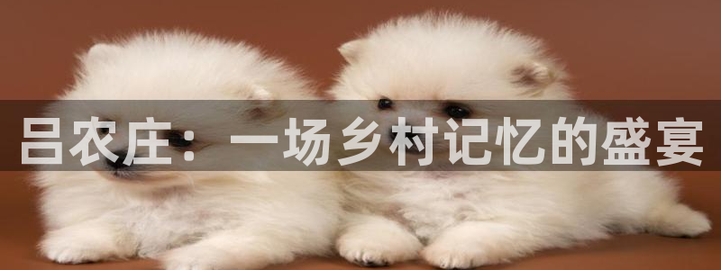 pg电子试玩账号