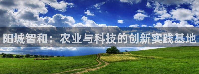 pg电子竞技游戏平台