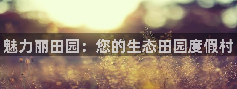 pg电子游戏迎财神视频